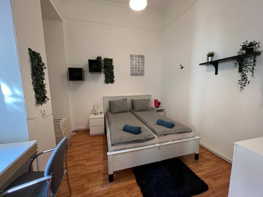 Big Apartment In The City Centre 부다페스트 외부 사진