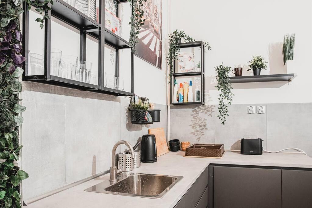 Big Apartment In The City Centre 부다페스트 외부 사진