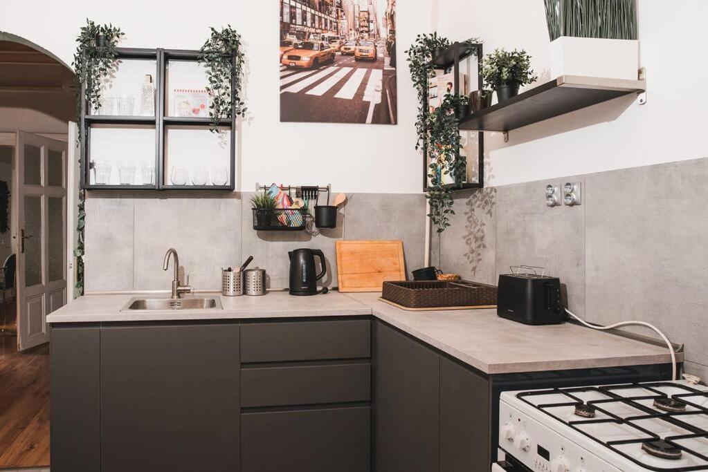 Big Apartment In The City Centre 부다페스트 외부 사진